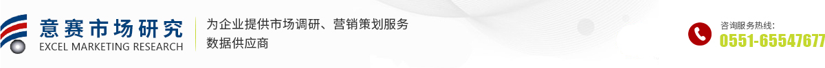 合肥意赛市场信息咨询有限公司